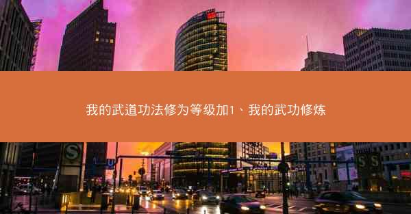 我的武道功法修为等级加1、我的武功修炼