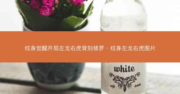 纹身觉醒开局左龙右虎背刻修罗、纹身左龙右虎图片