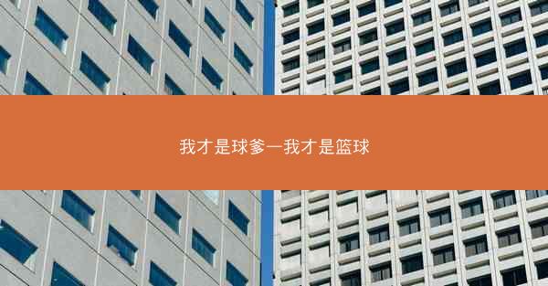 我才是球爹—我才是篮球
