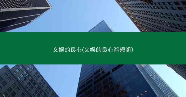 文娱的良心(文娱的良心笔趣阁)