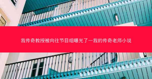 我传奇教授被向往节目组曝光了—我的传奇老师小说