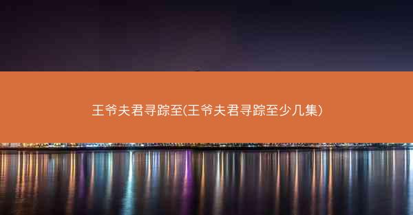 王爷夫君寻踪至(王爷夫君寻踪至少几集)