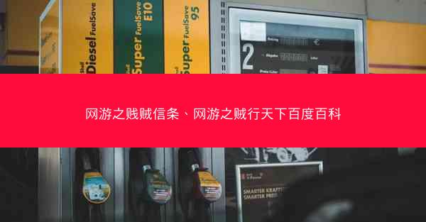 网游之贱贼信条、网游之贼行天下百度百科 网游之贱贼信条、网游之贼行天下百度百科