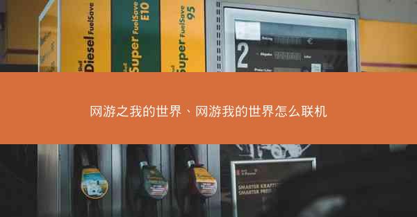 网游之我的世界、网游我的世界怎么联机