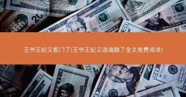 王爷王妃又抠门了(王爷王妃又逃墙跑了全文免费阅读)