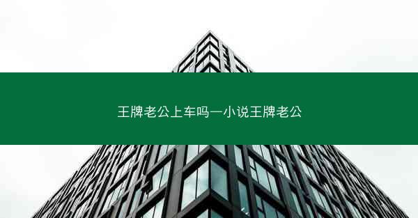 王牌老公上车吗—小说王牌老公