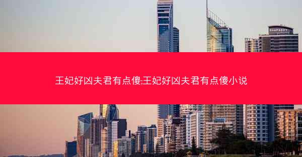王妃好凶夫君有点傻;王妃好凶夫君有点傻小说