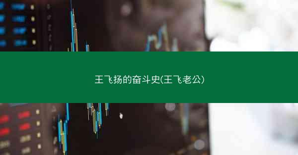王飞扬的奋斗史(王飞老公)