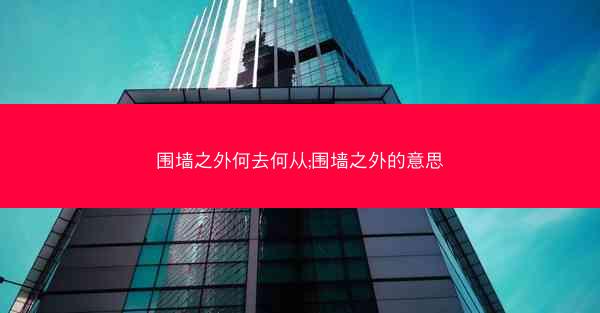 围墙之外何去何从;围墙之外的意思