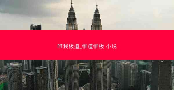 唯我极道_惟道惟极 小说