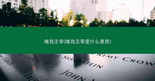 唯我主宰(唯我主宰是什么意思)