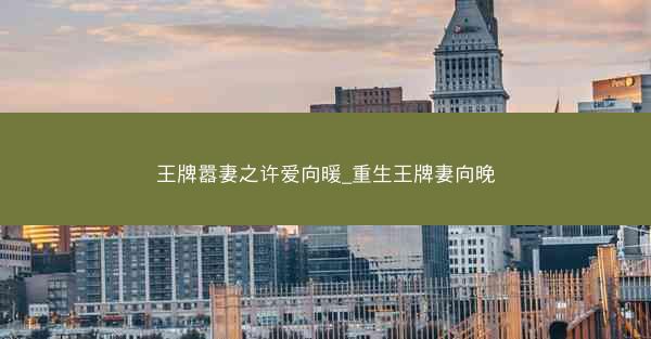 王牌嚣妻之许爱向暖_重生王牌妻向晚