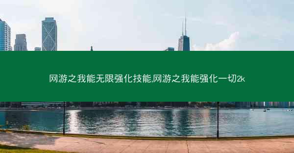 网游之我能无限强化技能,网游之我能强化一切2k