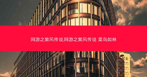 网游之紫风传说,网游之紫风传说 菜鸟如林