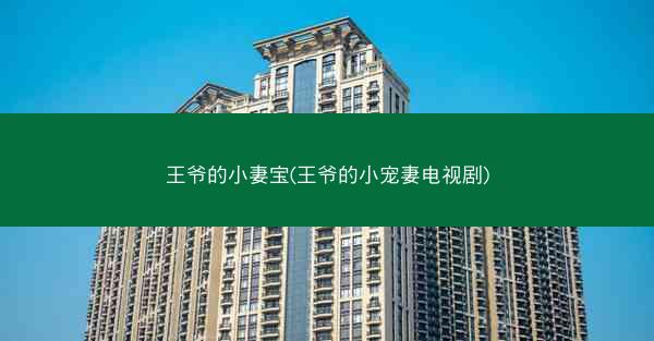 王爷的小妻宝(王爷的小宠妻电视剧)