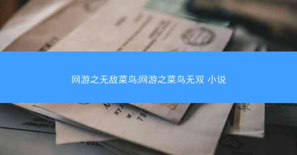 网游之无敌菜鸟;网游之菜鸟无双 小说