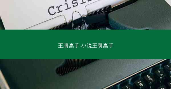 王牌高手-小说王牌高手