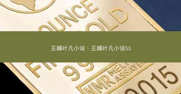 王婿叶凡小说、王婿叶凡小说53