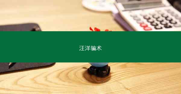 汪洋骗术