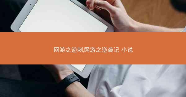 网游之逆刺,网游之逆袭记 小说