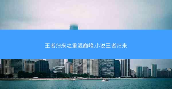 王者归来之重返巅峰,小说王者归来