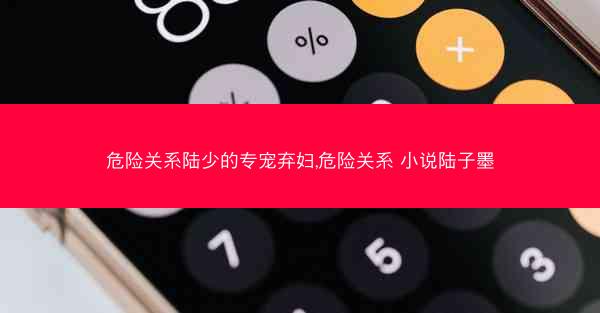危险关系陆少的专宠弃妇,危险关系 小说陆子墨