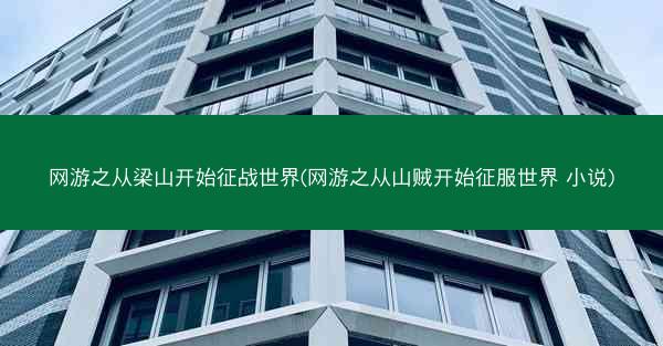 网游之从梁山开始征战世界(网游之从山贼开始征服世界 小说)