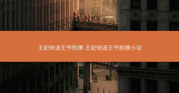 王妃快逃王爷别撩-王妃快逃王爷别撩小说