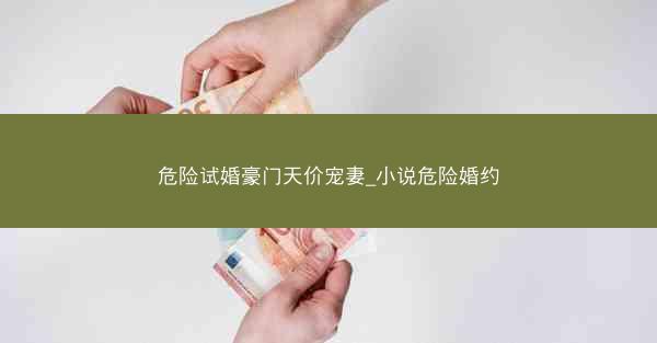 危险试婚豪门天价宠妻_小说危险婚约