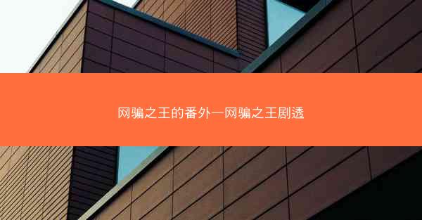 网骗之王的番外—网骗之王剧透
