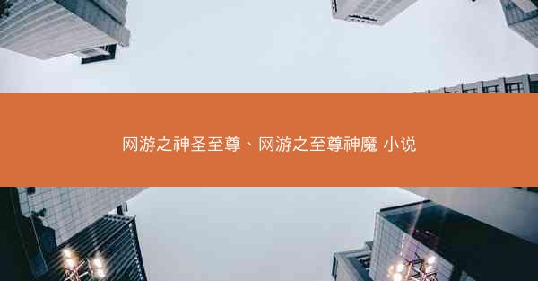 网游之神圣至尊、网游之至尊神魔 小说