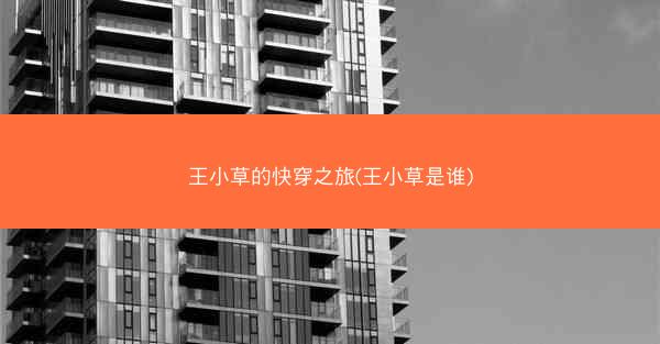 王小草的快穿之旅(王小草是谁)