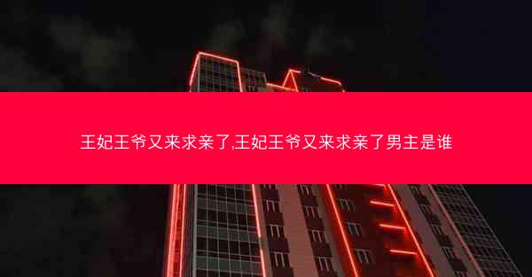 王妃王爷又来求亲了,王妃王爷又来求亲了男主是谁