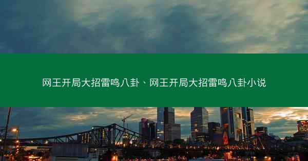 网王开局大招雷鸣八卦、网王开局大招雷鸣八卦小说