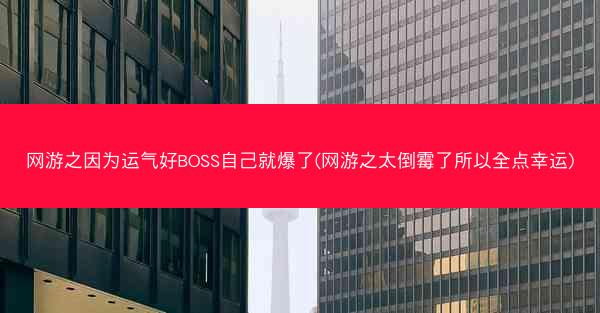 网游之因为运气好BOSS自己就爆了(网游之太倒霉了所以全点幸运)