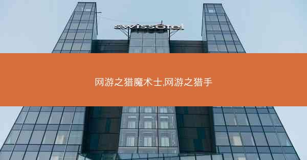 网游之猎魔术士,网游之猎手