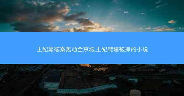 王妃靠破案轰动全京城,王妃爬墙被抓的小说 王妃靠破案轰动全京城,王妃爬墙被抓的小说