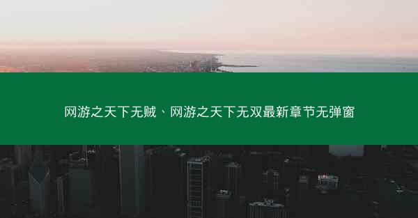 网游之天下无贼、网游之天下无双最新章节无弹窗