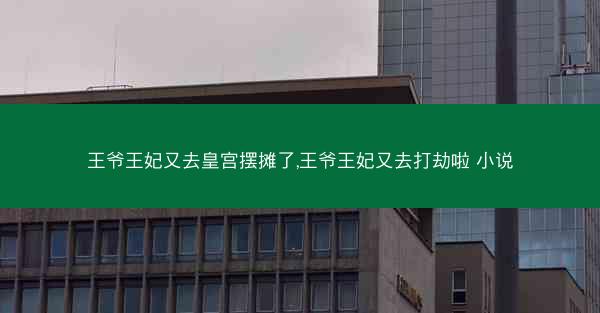 王爷王妃又去皇宫摆摊了,王爷王妃又去打劫啦 小说