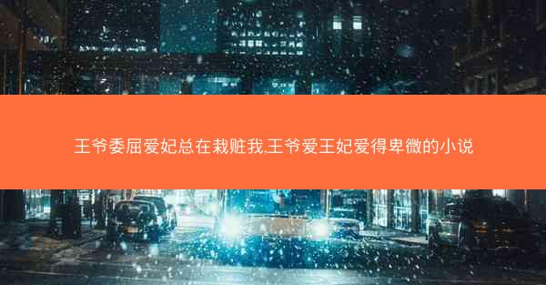 王爷委屈爱妃总在栽赃我,王爷爱王妃爱得卑微的小说