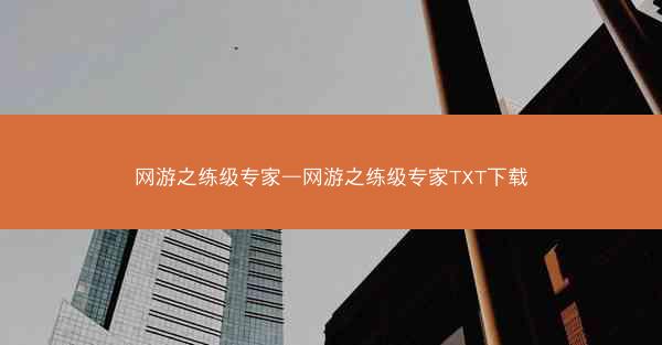 网游之练级专家—网游之练级专家TXT下载